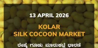 Kanakapura Silk Cocoon Market – 13 April 2026 Kanakapura Silk Cocoon Market Rates – 13 April 2026