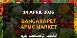 Kanakapura Silk Cocoon Market – 14 April 2026