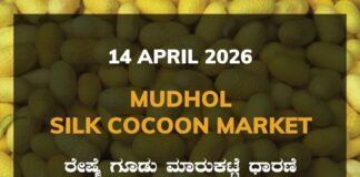 Kanakapura Silk Cocoon Market – 14 April 2026