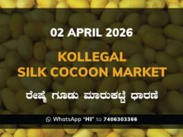 Kollegal Silk Cocoon Market Rates – 02 April 2026