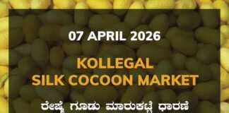 Kollegal Silk Cocoon Market – 07 April 2026