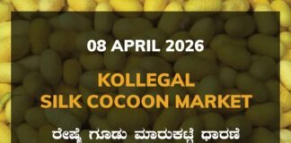 Kollegal Silk Cocoon Market – 08 April 2026 Kollegal Silk Cocoon Market Rates – 08 April 2026