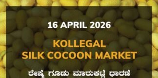 Kollegal Silk Cocoon Market – 16 April 2026