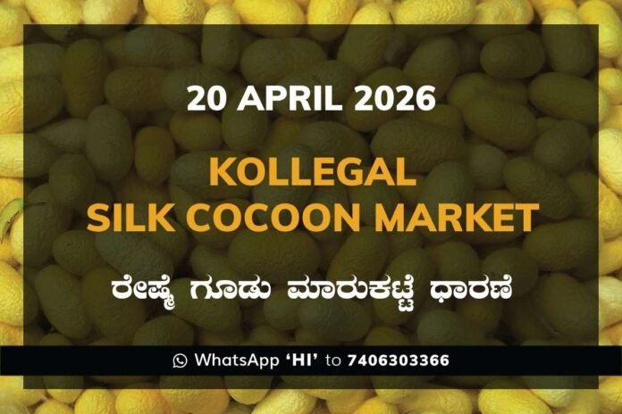 kollegal-silk-cocoon-market-20-april-2026 Kollegal Silk Cocoon Market Rates – 20 April 2026