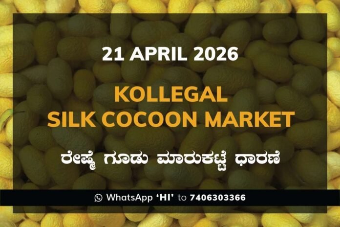 kollegal Silk Cocoon Market Rates – 21 April 2026