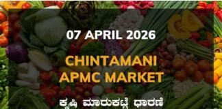 Malavalli Silk Cocoon Market – 07 April 2026