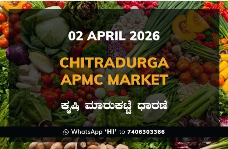Malur APMC Market Rates – 02 April 2026