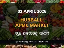 Mysuru APMC Market Rates – 02 April 2026