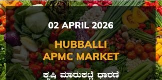 Mysuru APMC Agriculture Market: 02 April 2026 Mysuru APMC Market Rates – 02 April 2026