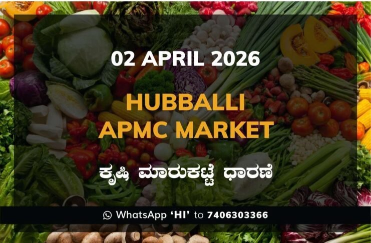 Mysuru APMC Market Rates – 02 April 2026