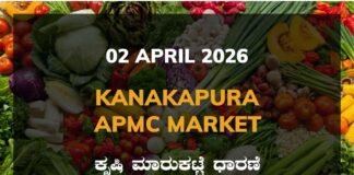 Ramanagara APMC Agriculture Market: 02 April 2026 Ramanagara APMC Market Rates – 02 April 2026
