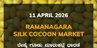 Ramanagara Silk Cocoon Market – 11 April 2026 Ramanagara Silk Cocoon Market Rates – 11 April 2026