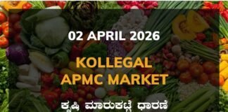 Udupi APMC Agriculture Market: 02 April 2026 Udupi APMC Market Rates – 02 April 2026