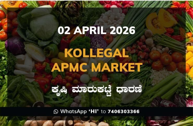 Udupi APMC Market Rates – 02 April 2026