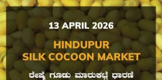 Vijayapura Silk Cocoon Market – 13 April 2026 Vijayapura Silk Cocoon Market Rates – 13 April 2026