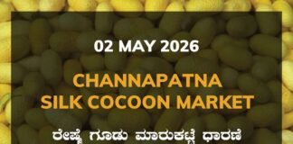 Channapatna Silk Cocoon Market – 02 May 2026 Channapatna Silk Cocoon Market – 02 May 2026