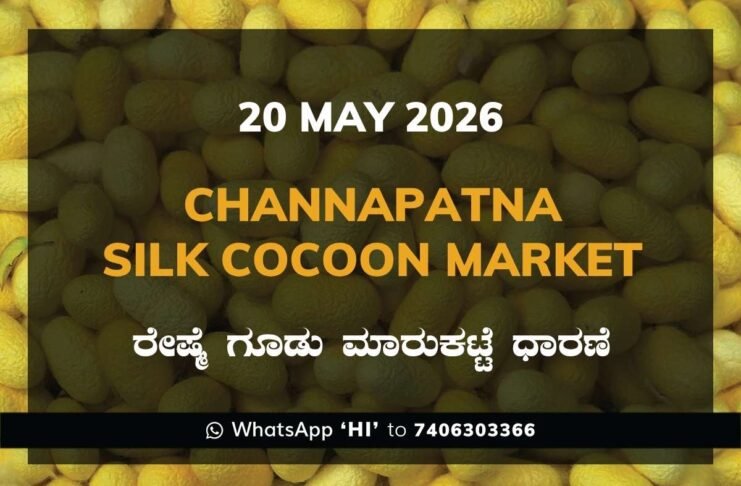 Channapatna Silk Cocoon Market – 20 May 2026