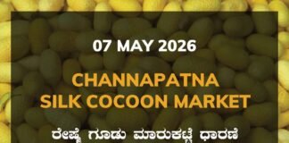 Channapatna Silk Cocoon Market – 07 May 2026 Channapatna Silk Cocoon Market – 07 May 2026