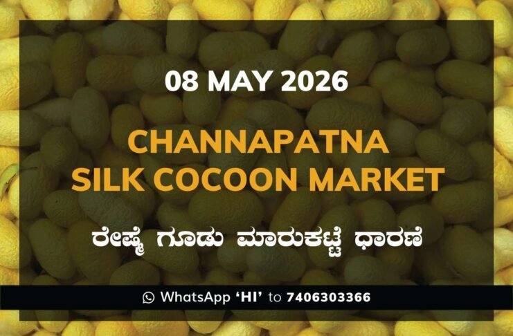 Channapatna Silk Cocoon Market – 08 May 2026