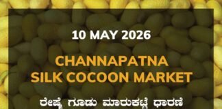 Channapatna Silk Cocoon Market – 10 May 2026 Channapatna Silk Cocoon Market – 10 May 2026