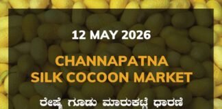 Channapatna Silk Cocoon Market – 12 May 2026 Channapatna Silk Cocoon Market – 12 May 2026