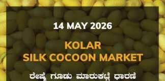 Kolar Silk Cocoon Market – 14 May 2026 Kolar Silk Cocoon Market – 14 May 2026