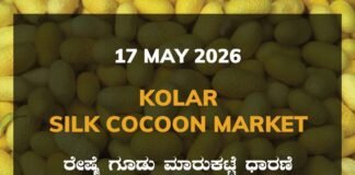 Kolar Silk Cocoon Market – 17 May 2026 Kolar Silk Cocoon Market – 17 May 2026