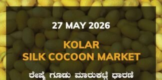 Kolar Silk Cocoon Market – 27 May 2026 Kolar Silk Cocoon Market – 27 May 2026