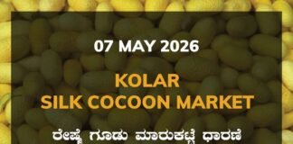 Kolar Silk Cocoon Market – 07 May 2026 Kolar Silk Cocoon Market – 07 May 2026