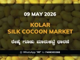 Kolar Silk Cocoon Market – 09 May 2026