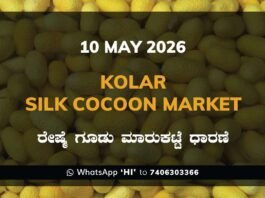 Kolar Silk Cocoon Market