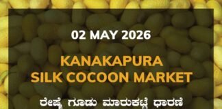 Kanakapura Silk Cocoon Market – 02 May 2026 Kanakapura Silk Cocoon Market – 02 May 2026