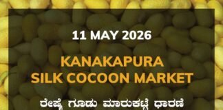 Kanakapura Silk Cocoon Market – 11 May 2026 Kanakapura Silk Cocoon Market – 11 May 2026