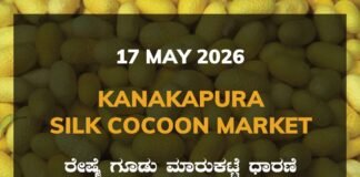 Kanakapura Silk Cocoon Market – 17 May 2026 Kanakapura Silk Cocoon Market – 17 May 2026
