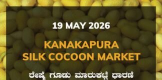 Kanakapura Silk Cocoon Market – 19 May 2026 Kanakapura Silk Cocoon Market – 19 May 2026