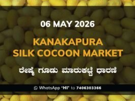 Kanakapura Silk Cocoon Market – 06 May 2026