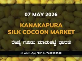 Kanakapura Silk Cocoon Market – 07 May 2026