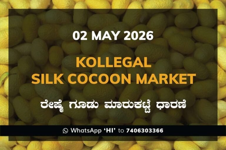 Kollegal Silk Cocoon Market – 02 May 2026