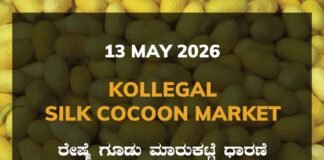 Kollegal Silk Cocoon Market – 13 May 2026 Kollegal Silk Cocoon Market – 13 May 2026