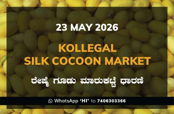 Kollegal Silk Cocoon Market – 23 May 2026