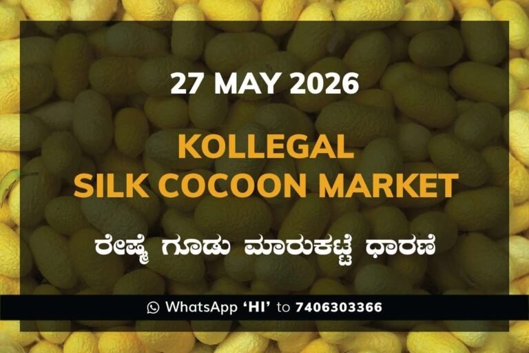 Kollegal Silk Cocoon Market – 27 May 2026