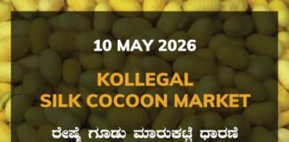 Kollegal Silk Cocoon Market – 10 May 2026 Kollegal Silk Cocoon Market – 09 May 2026