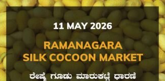 Ramanagara Silk Cocoon Market – 11 May 2026 Ramanagara Silk Cocoon Market – 11 May 2026