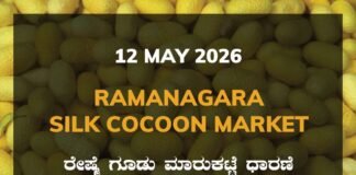 Ramanagara Silk Cocoon Market – 12 May 2026 Ramanagara Silk Cocoon Market – 12 May 2026