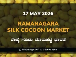 Ramanagara Silk Cocoon Market – 17 May 2026