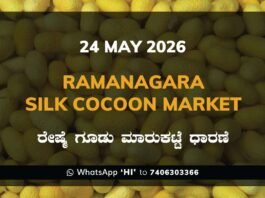 Ramanagara Silk Cocoon Market – 24 May 2026