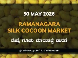 Ramanagara Silk Cocoon Market – 29 May 2026