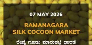 Ramanagara Silk Cocoon Market – 07 May 2026 Ramanagara Silk Cocoon Market – 07 May 2026