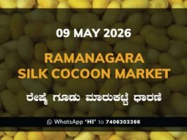Ramanagara Silk Cocoon Market – 09 May 2026