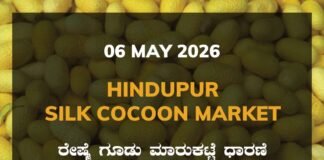 Hindupur Silk Cocoon Market – 06 May 2026 Hindupur Silk Cocoon Market – 06 May 2026